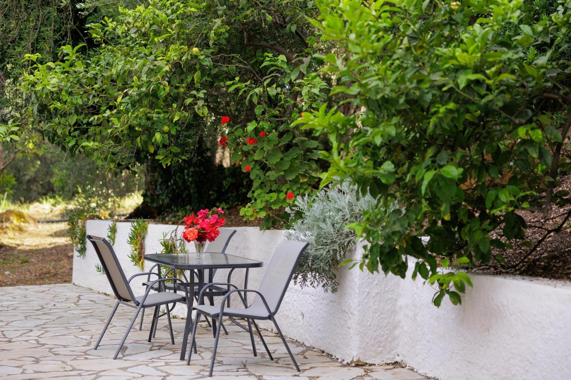 Santos Holidays Dassia  Exterior foto